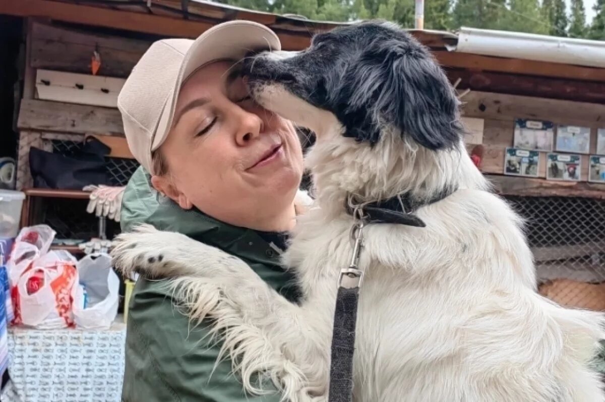    Волонтеры заботятся о мохнатых жителях приюта.