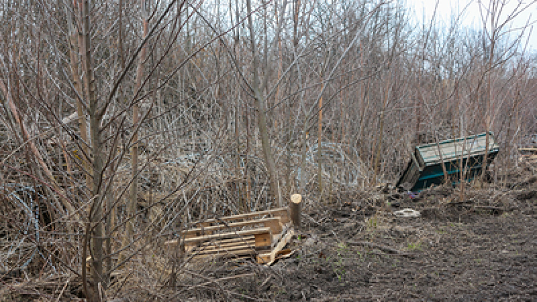    Konopatov Yuri/Globallookpress