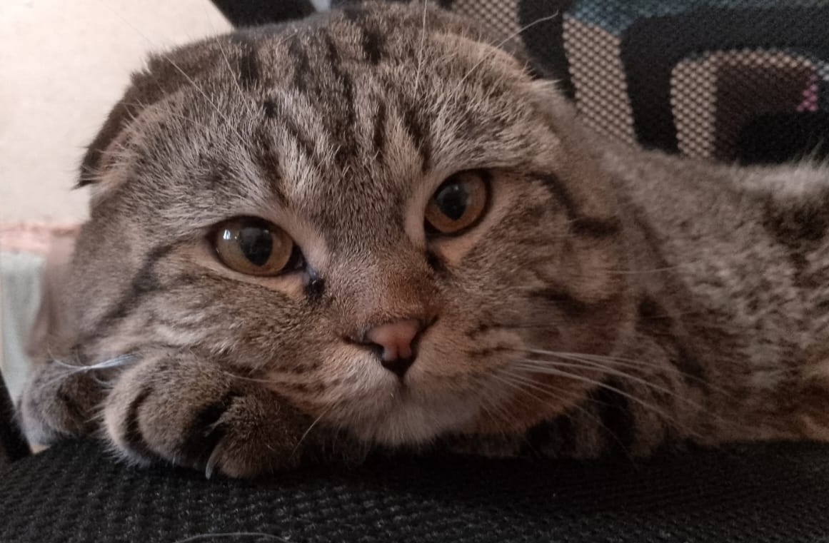 Федя глазами Евы