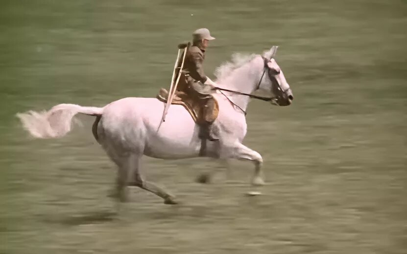    «Я умею жить с полиомиелитом»: книга Алана Маршалла и уроки, которые важно услышать врачам, родителям и детям