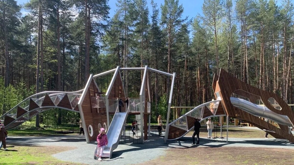 Листайте вправо, чтобы увидеть больше изображений