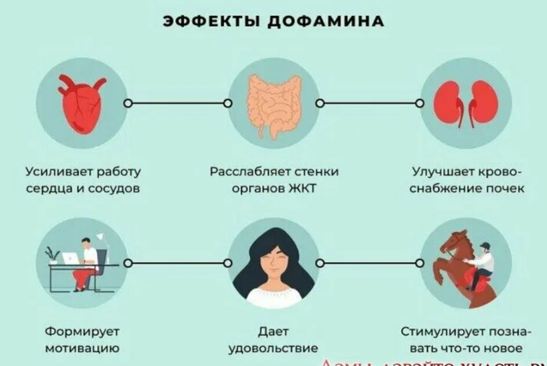 Из свободного доступа