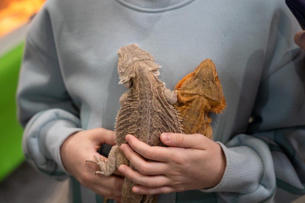 Фото: Александр Плонский / «ВиЖ»