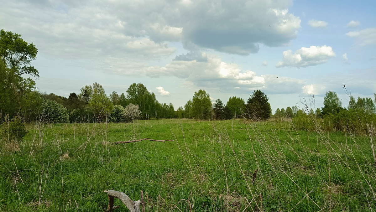 свезённая деревня.