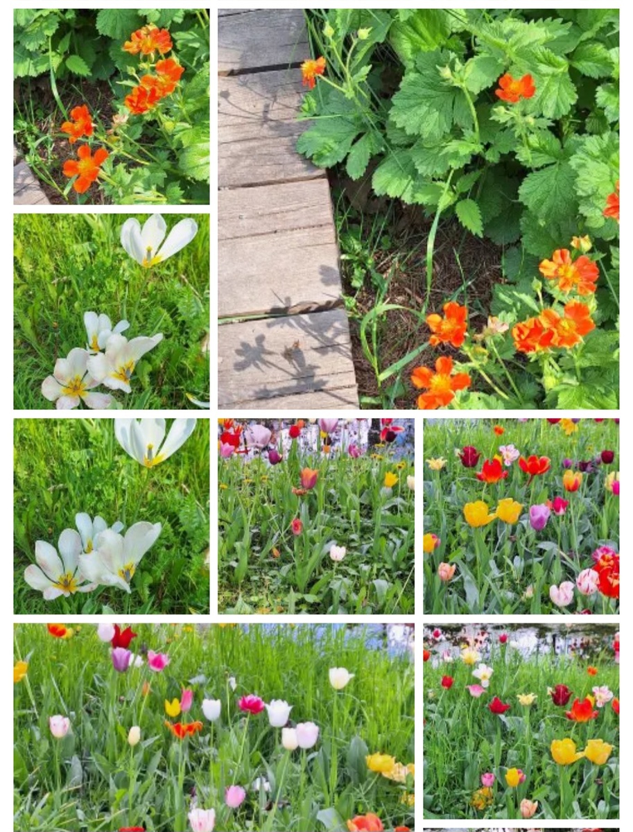 Фотоколлаж - собственность автора канала.