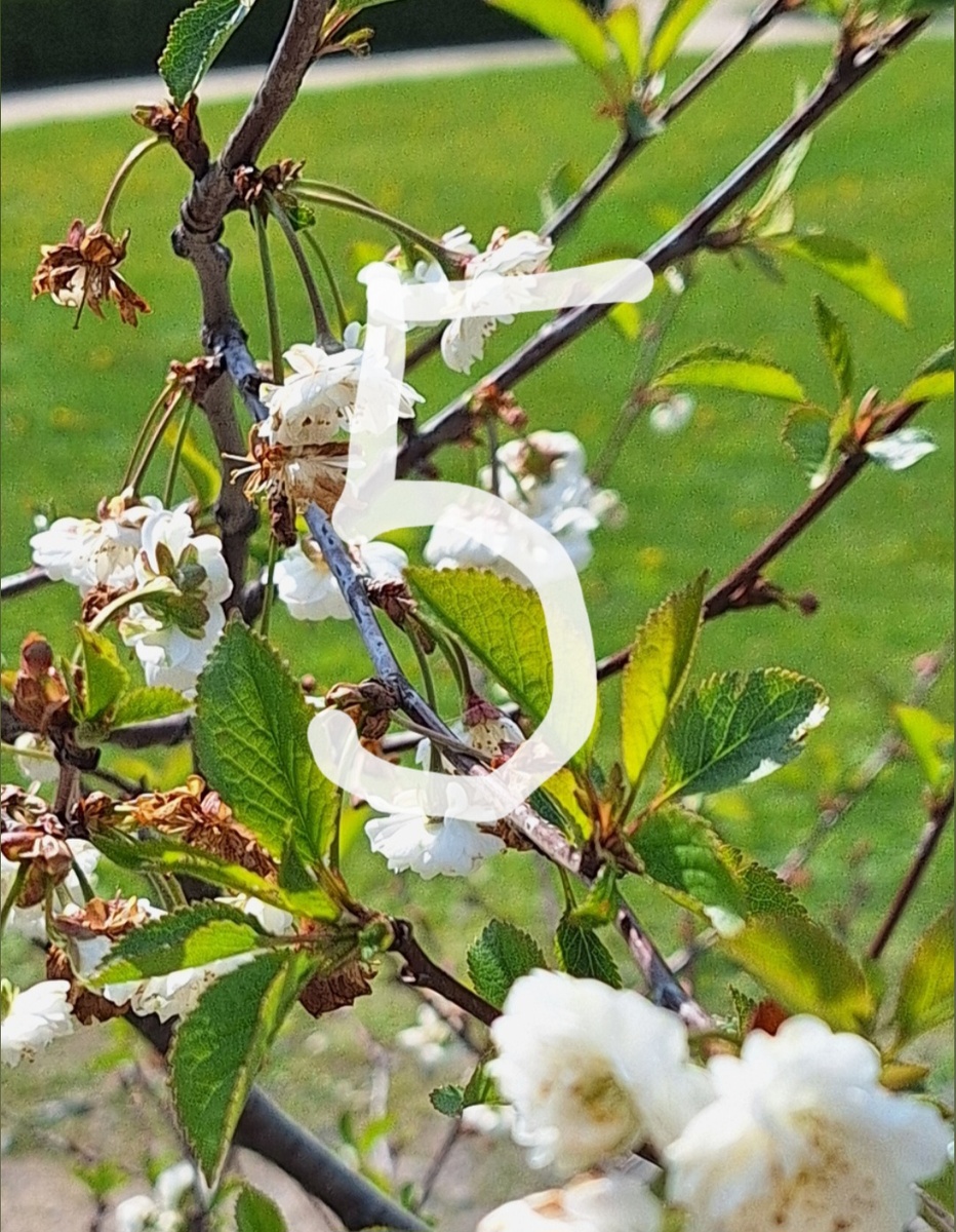 Фотоколлаж -собственность автора канала.