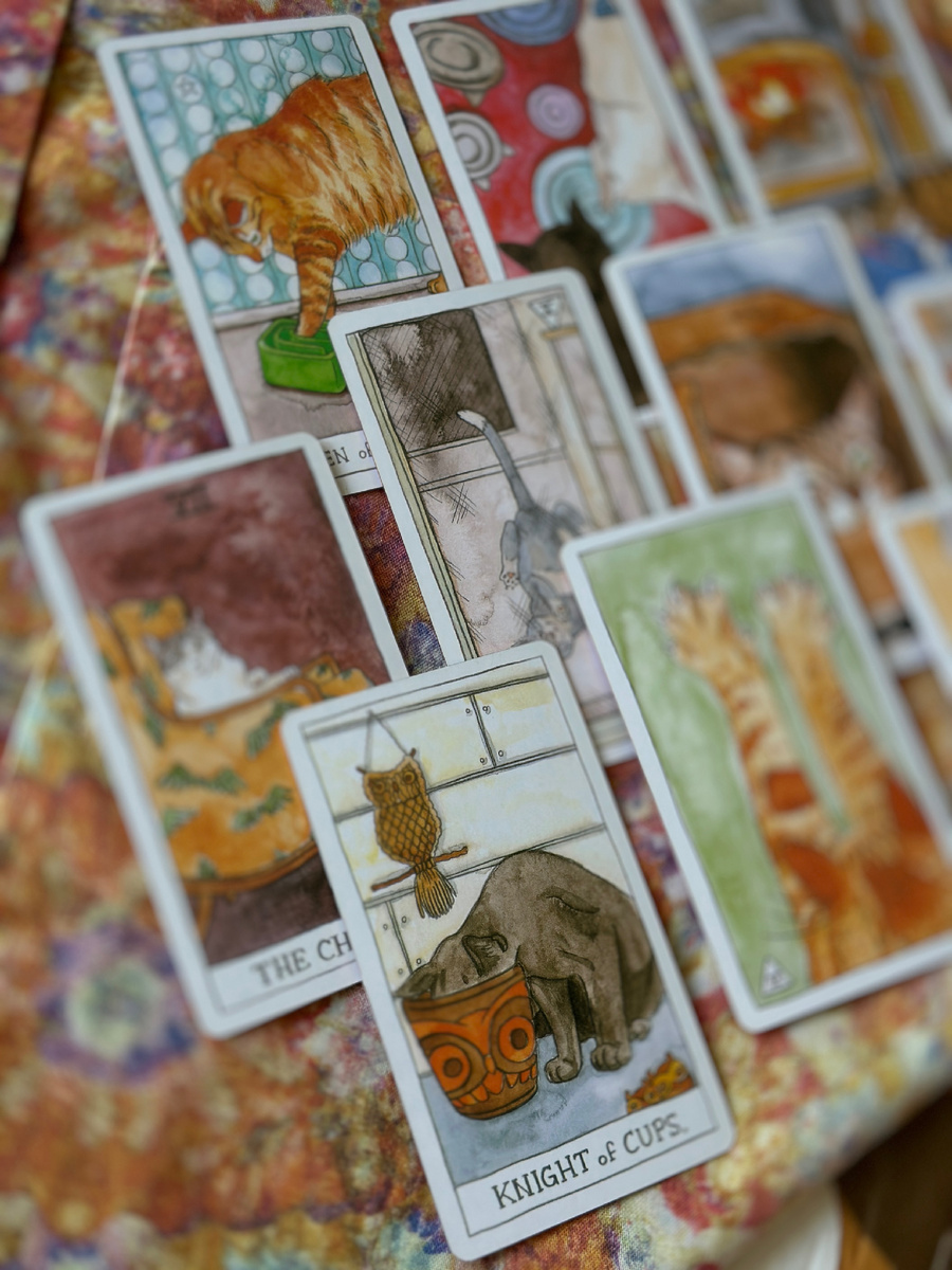 Фото из личной коллекции автора