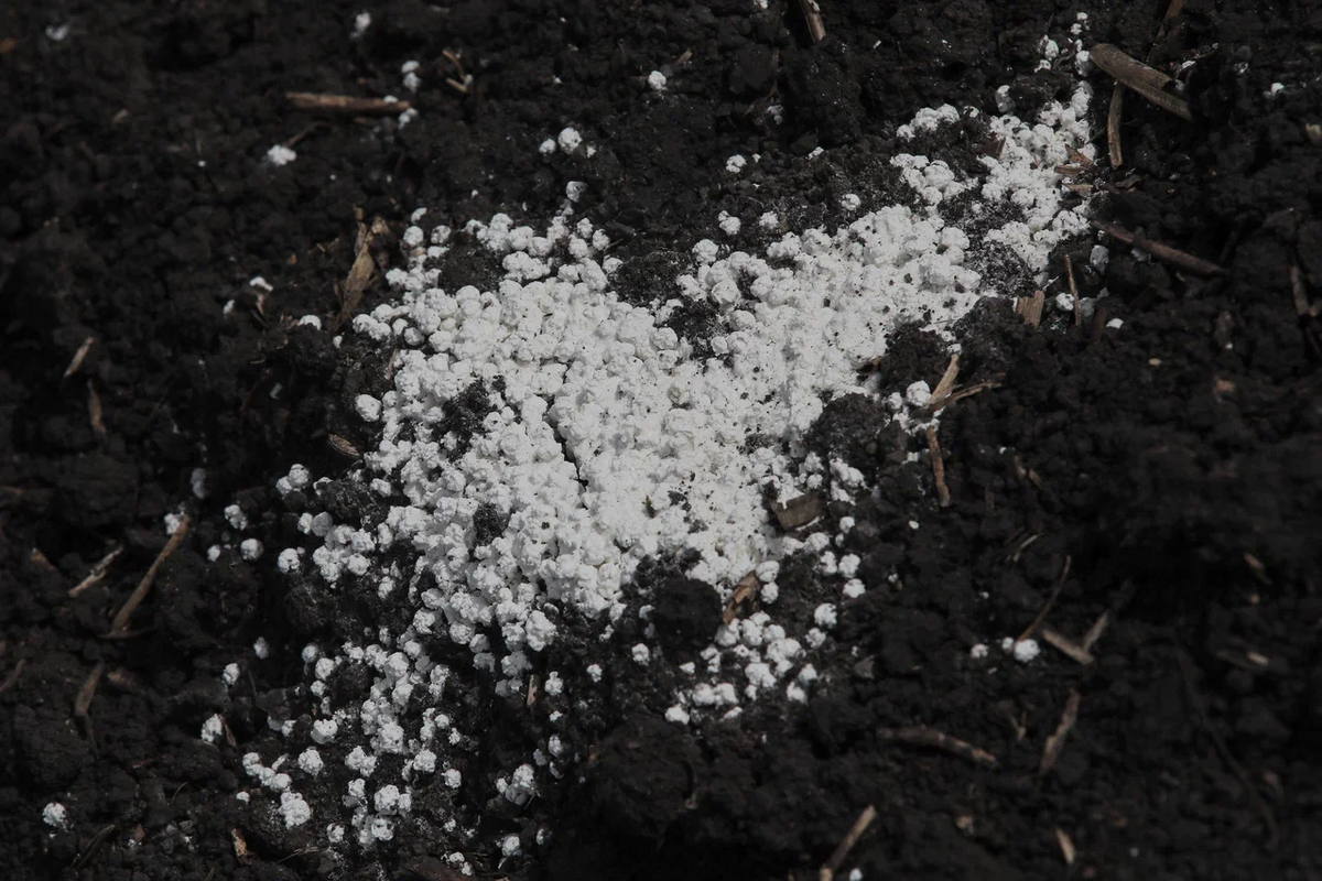 Источник: Поле.РФ