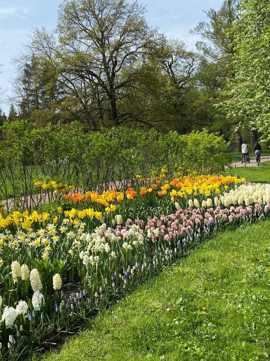 Просто красивая фотография. Дочь позавчера ездила с подругой в Пушкин и там сделала снимки. Такая там сейчас красота.