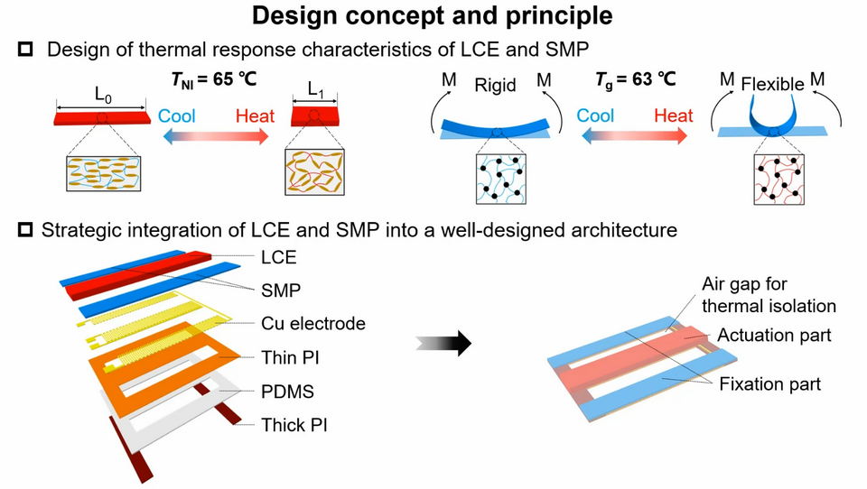   Shiwei Xu et al. / Nature machine intelligence, 2025