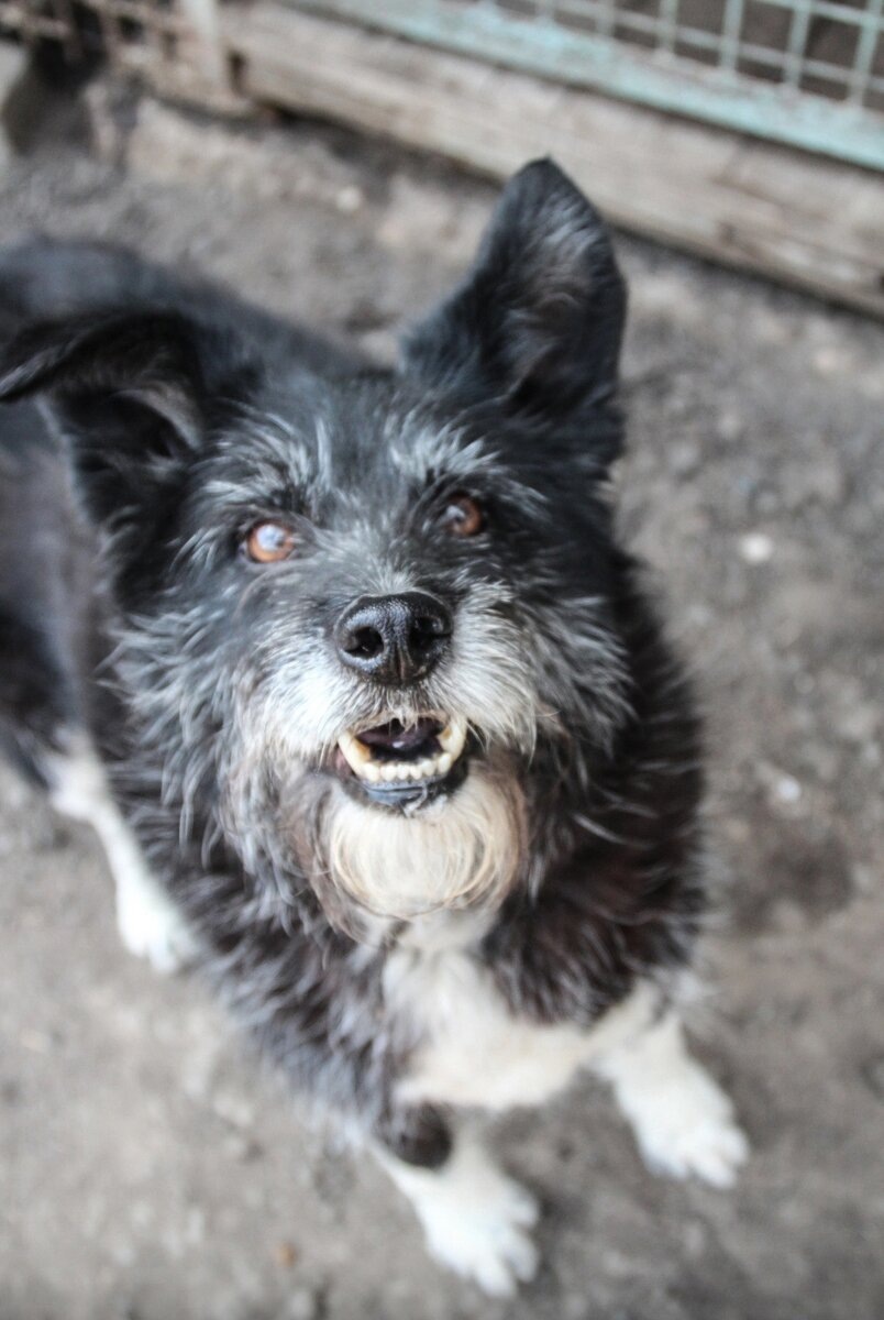 Турман обожает ловить взгляды прохожих и знакомых ему людей