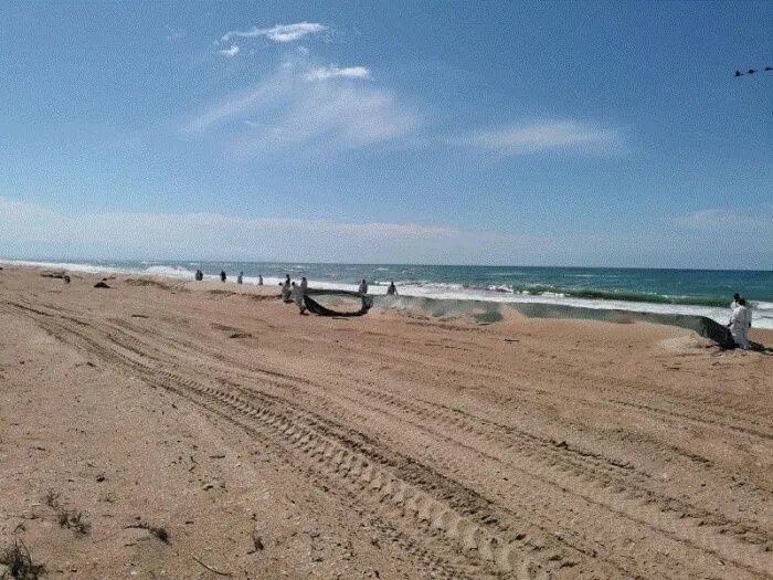 Источник: t.me/opershtab23