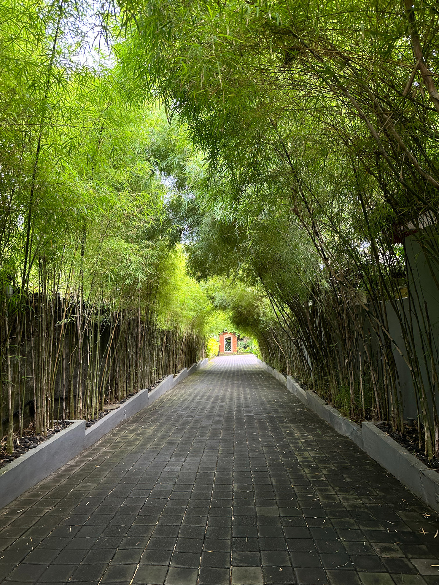 Фото Отеля Natya Hotel Tanah Lot  из личного архива Туролога