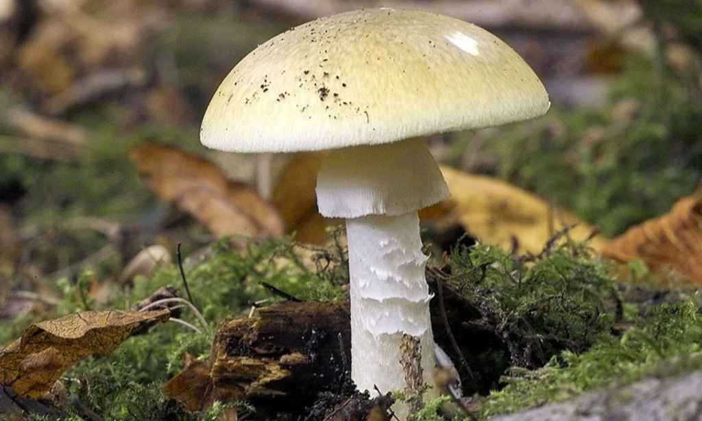 фото взято на просторах интернета