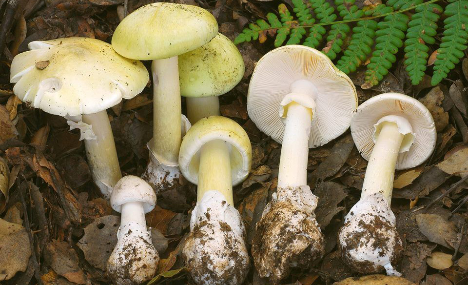 фото взято на просторах интернета