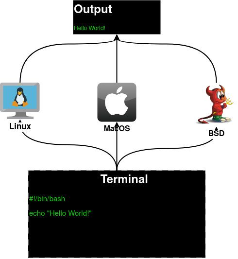 Bash-скрипты работают на разных Unix-системах благодаря POSIX-совместимости.