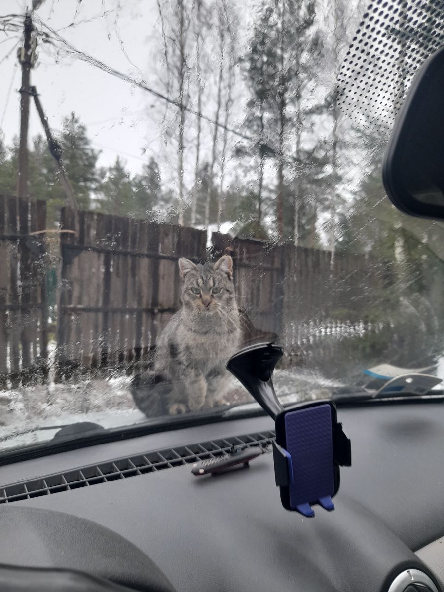 Трус: приехала? Корми!