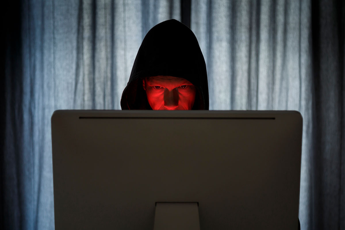    Фото: Sander van der Werf / Shutterstock.com