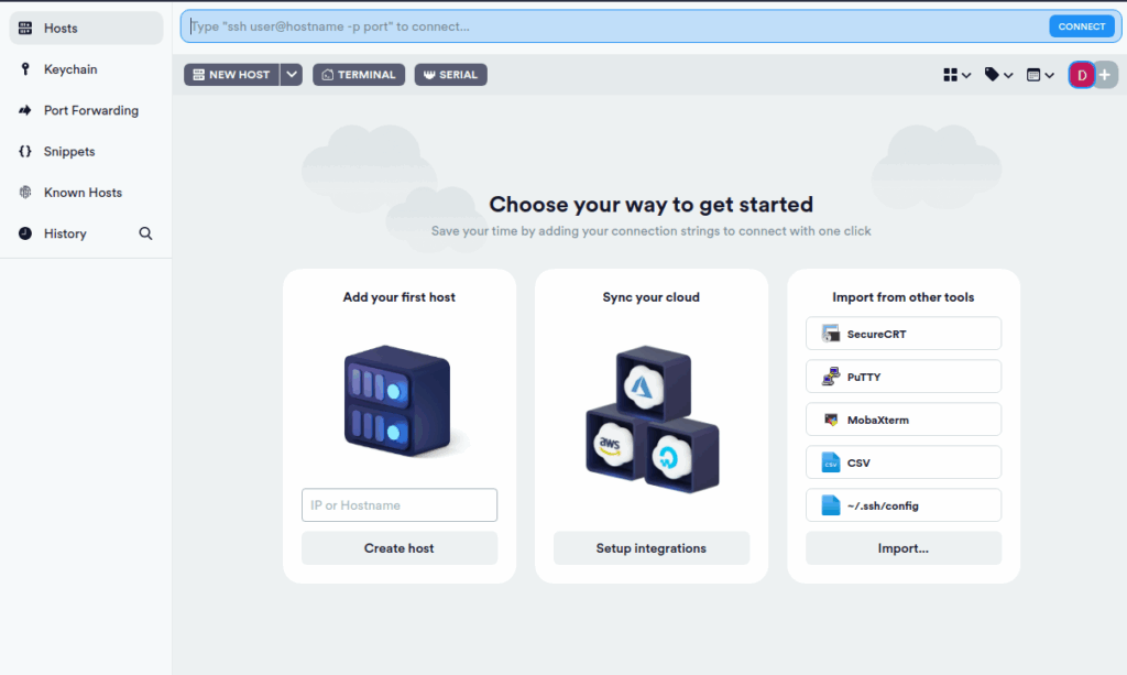 Главный экран Termius с интуитивным интерфейсом для управления подключениями.