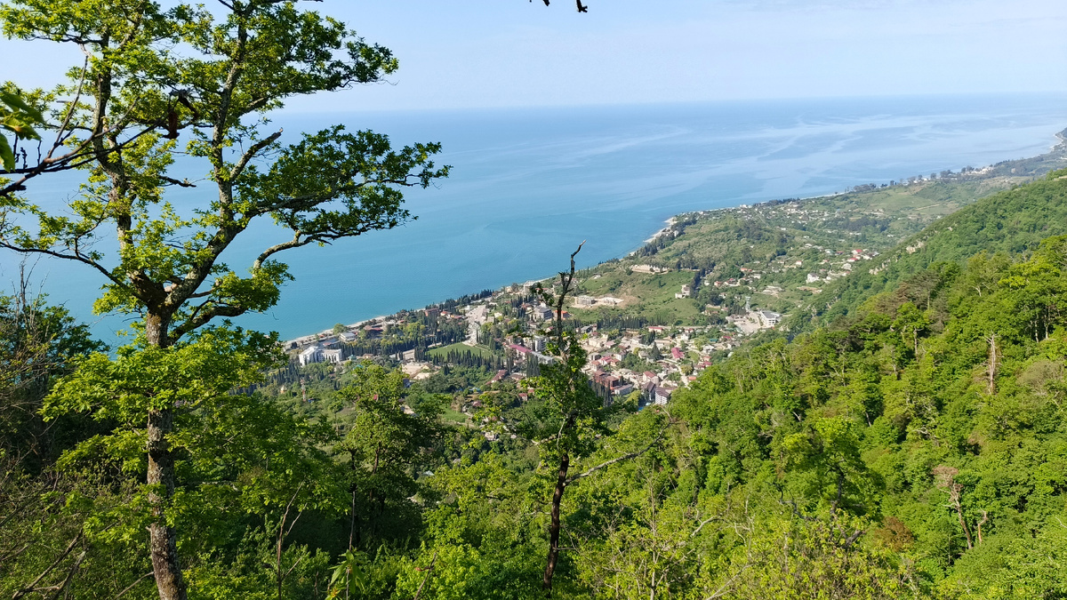Абхазия. Вид на Чёрное море со склона горы Акуи близ Нового Афона. Из моего путешествия в мае 2025. Фото автора.