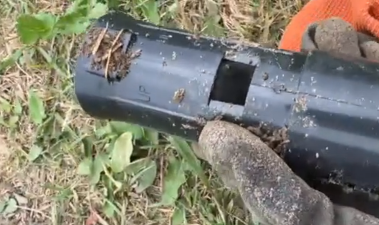 Гуманная ловушка