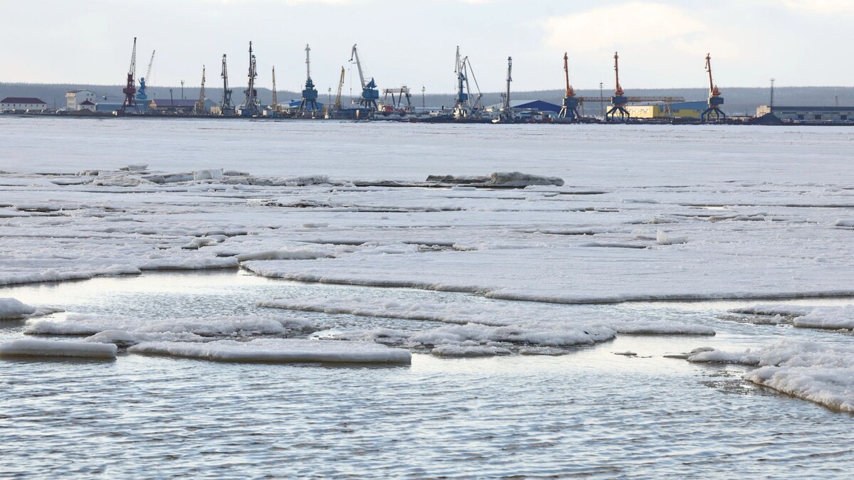    Фото: Андрей Ткачёв / «Ямал-Медиа»