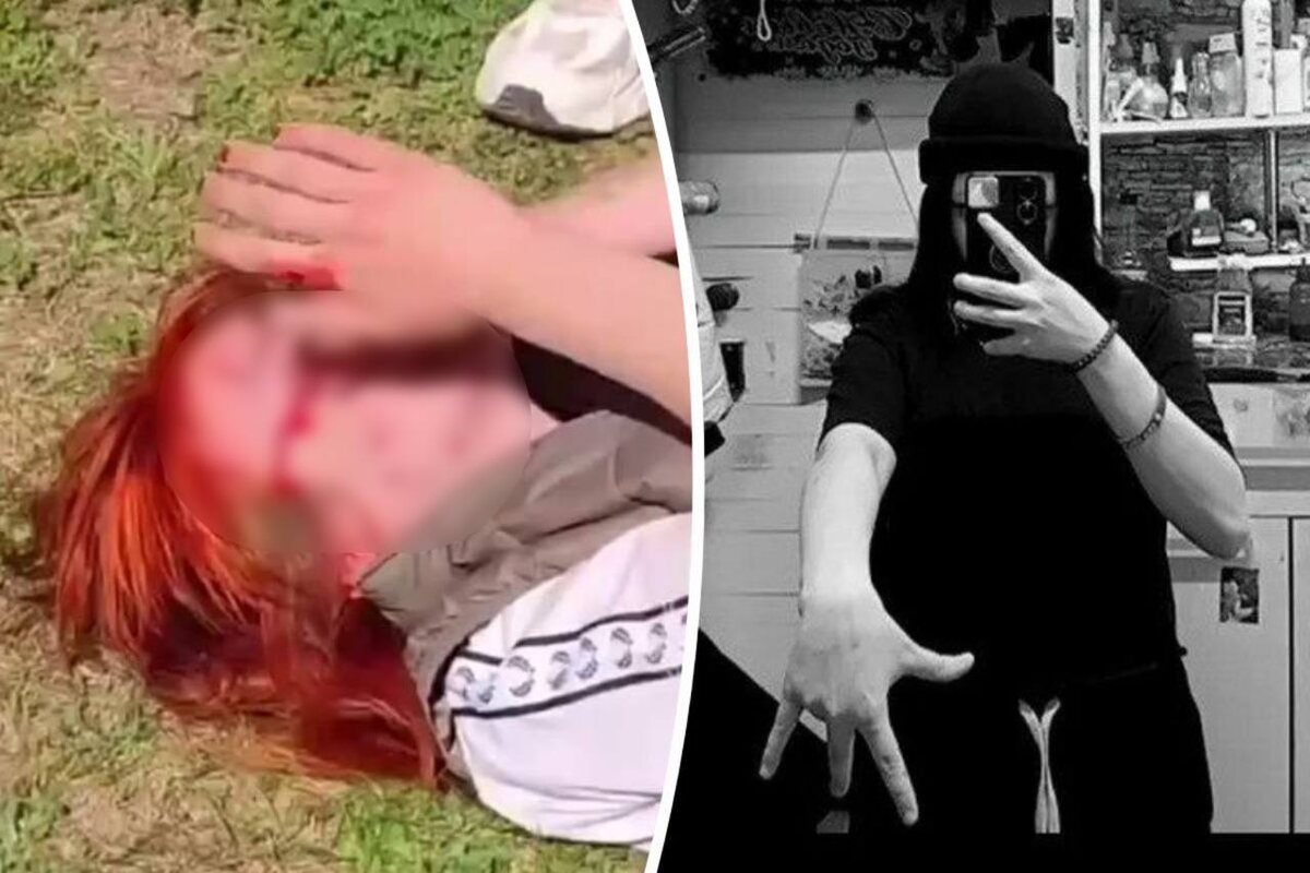 СК возбудил уголовное дело по статье «Хулиганство» Фото: читатель «КП»
