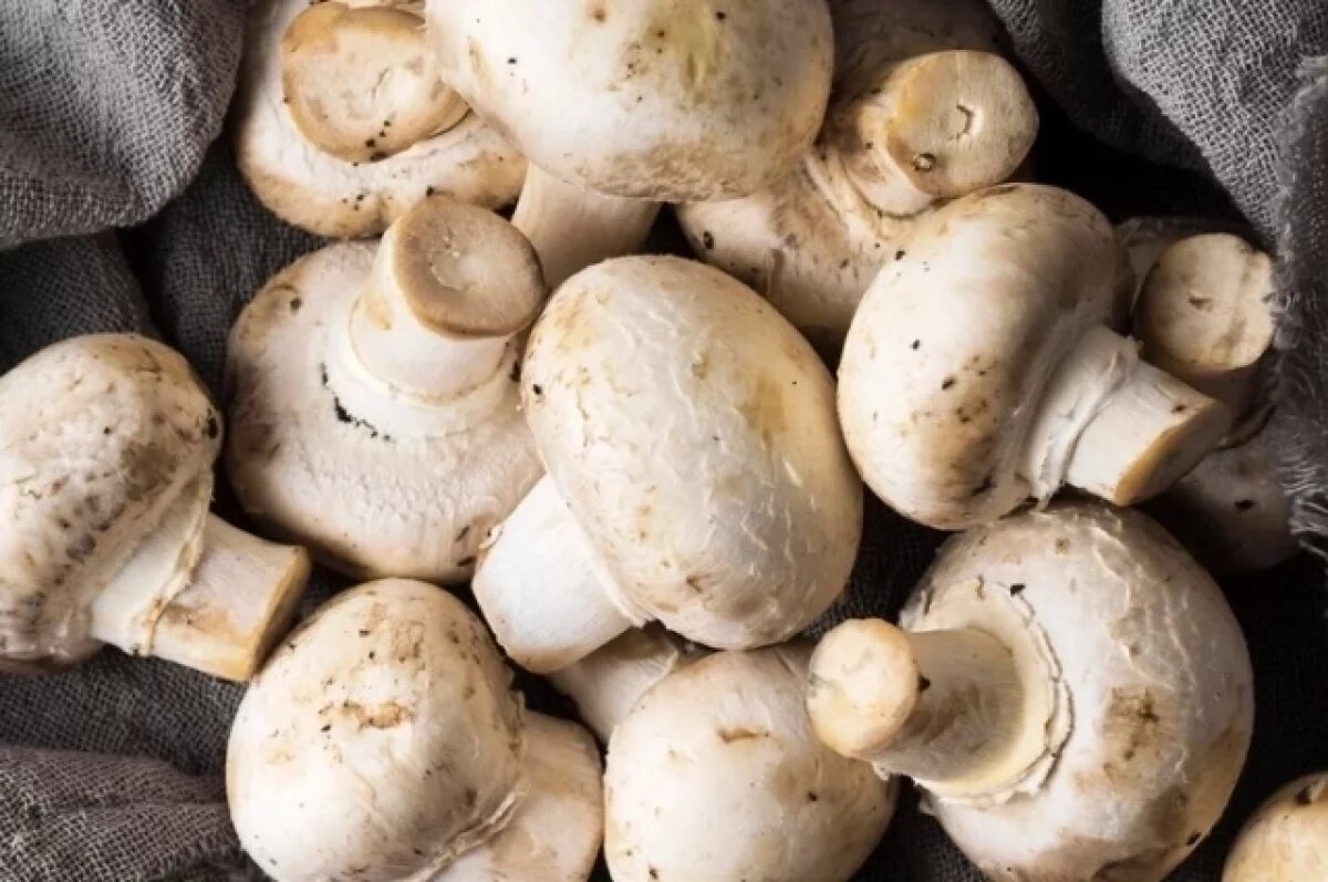    В Роспотребнадзоре рассказали, как правильно выбрать шампиньоны в магазине