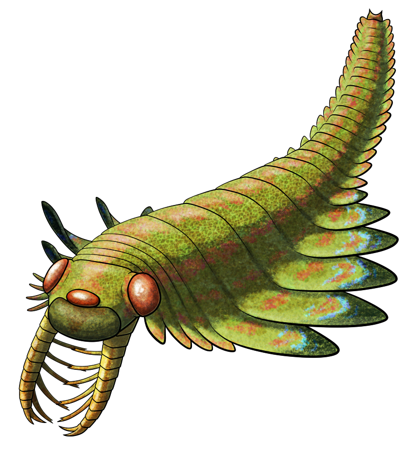 Лица подписчиков, когда админ постит новую статью спустя 4 года молчания