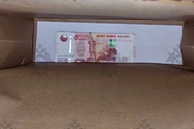    Фото: СУ СКР по Ростовской области