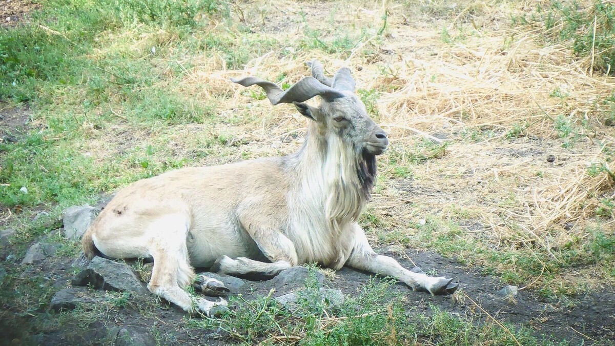     Источник: 1MI