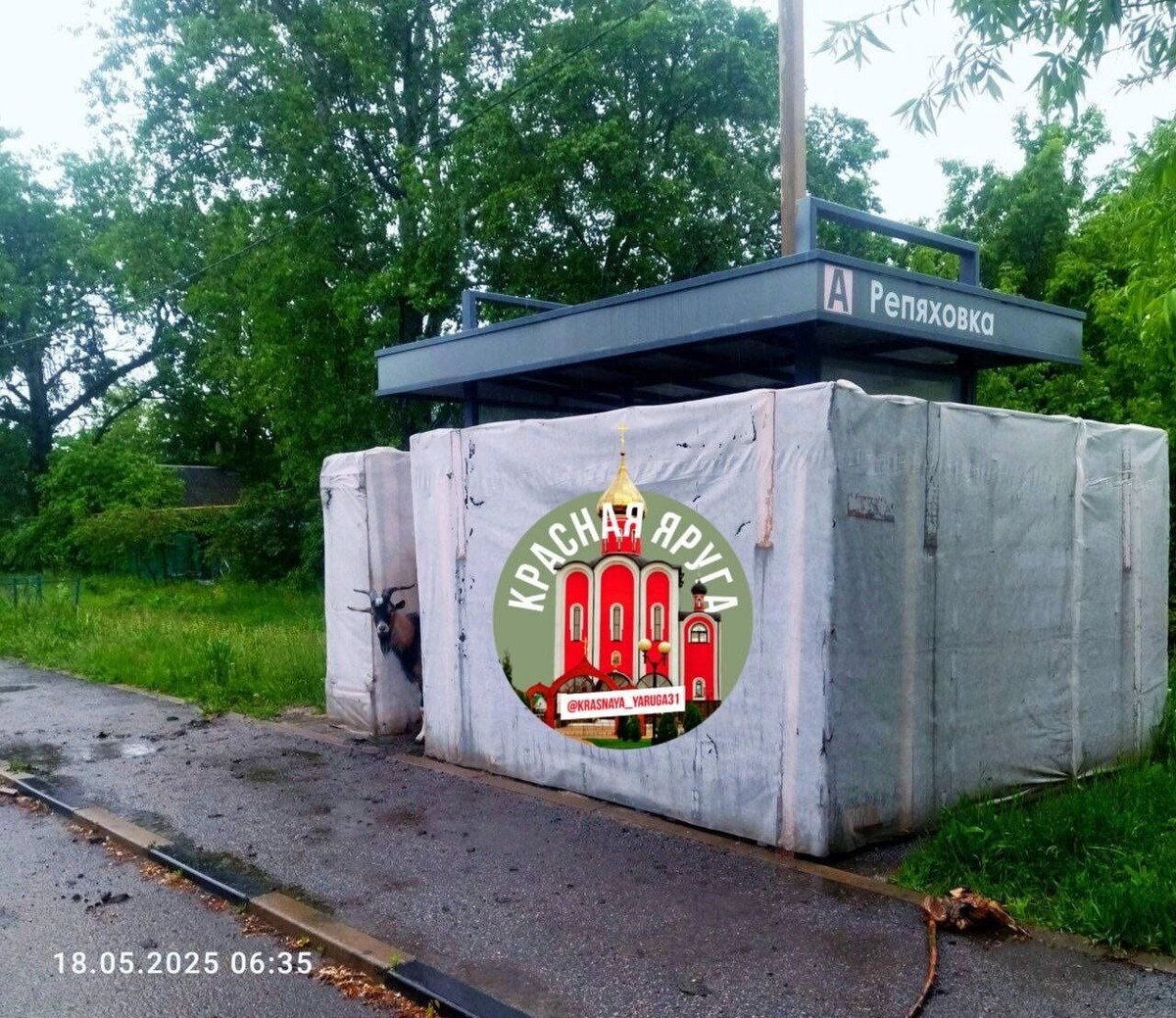     Источник: t.me/krasnaya_yaruga31