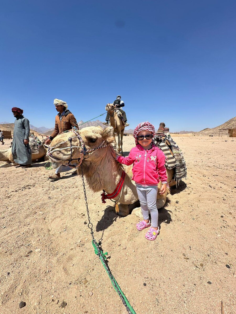 «Планета Лета»