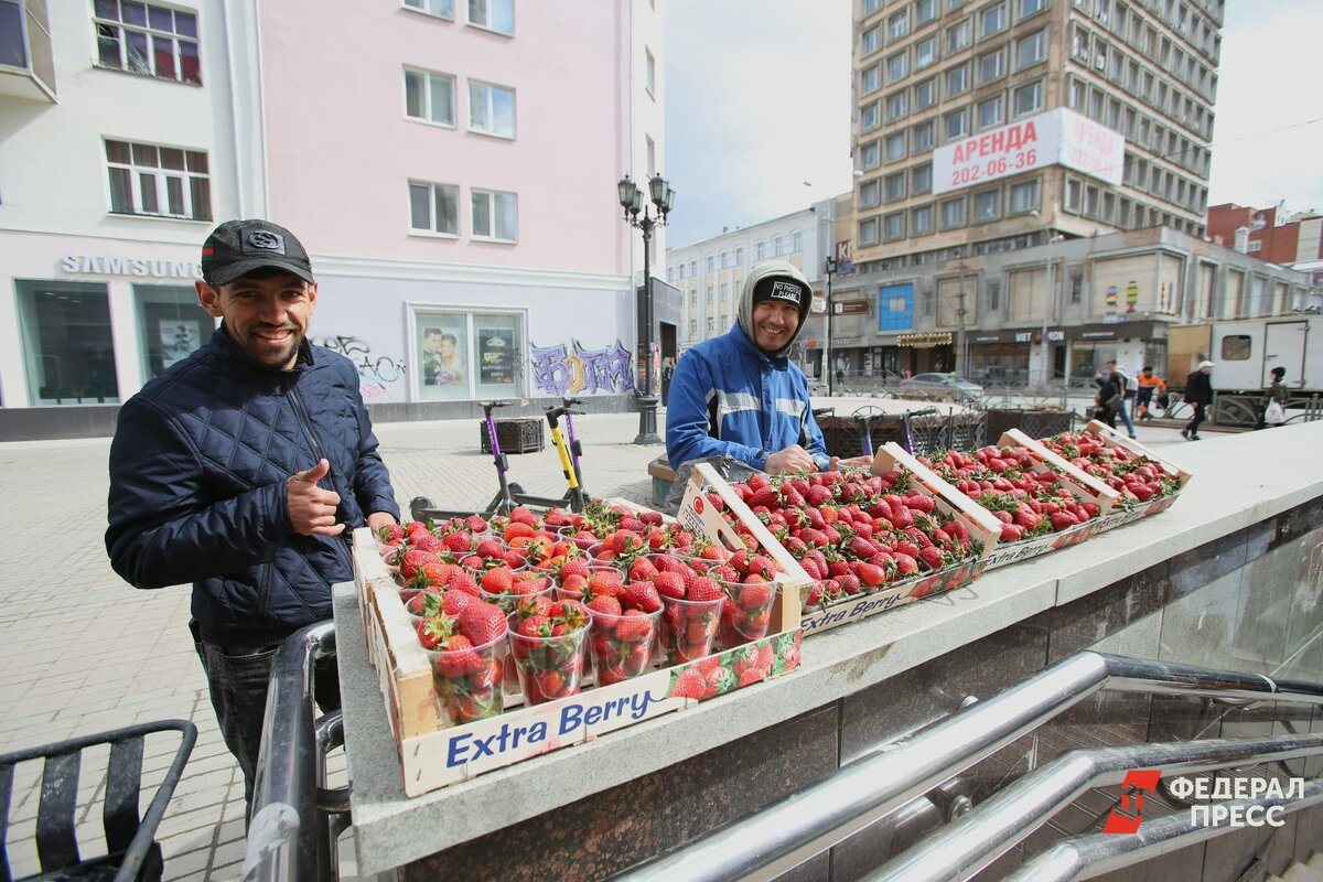 Цену на клубнику придут в норму на пике сезона.  Фото: Фото: ФедералПресс / Ольга Юшкова
