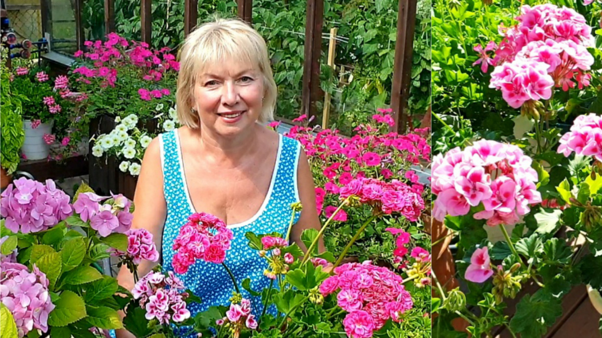 Люблю цветы.