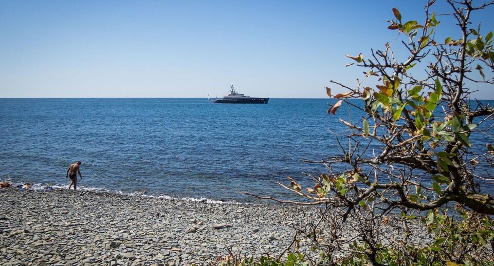    РИА «Новости»