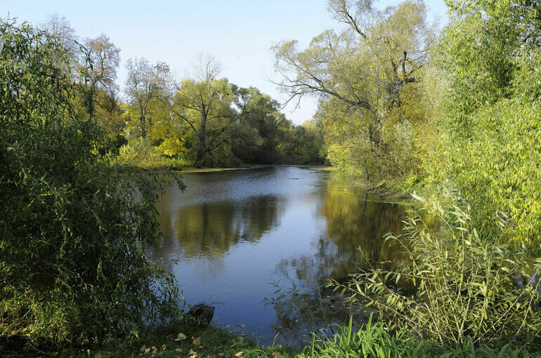   Юрий Инякин/ПГ