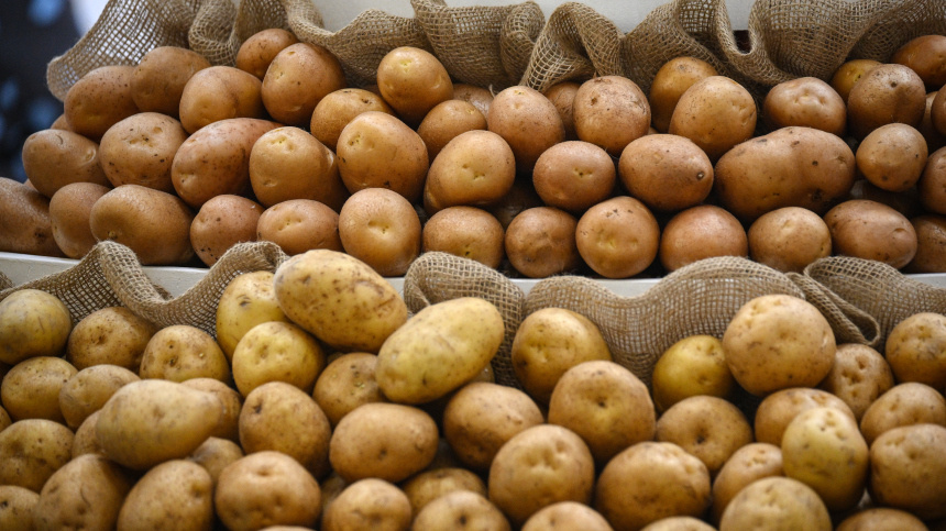    Фото: © РИА Новости/Владимир Астапкович