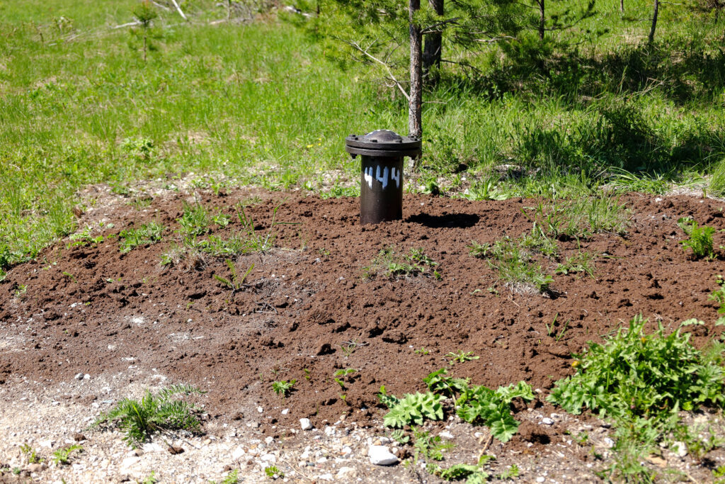    Фото: В курсе.ру Ульяна Бажанова