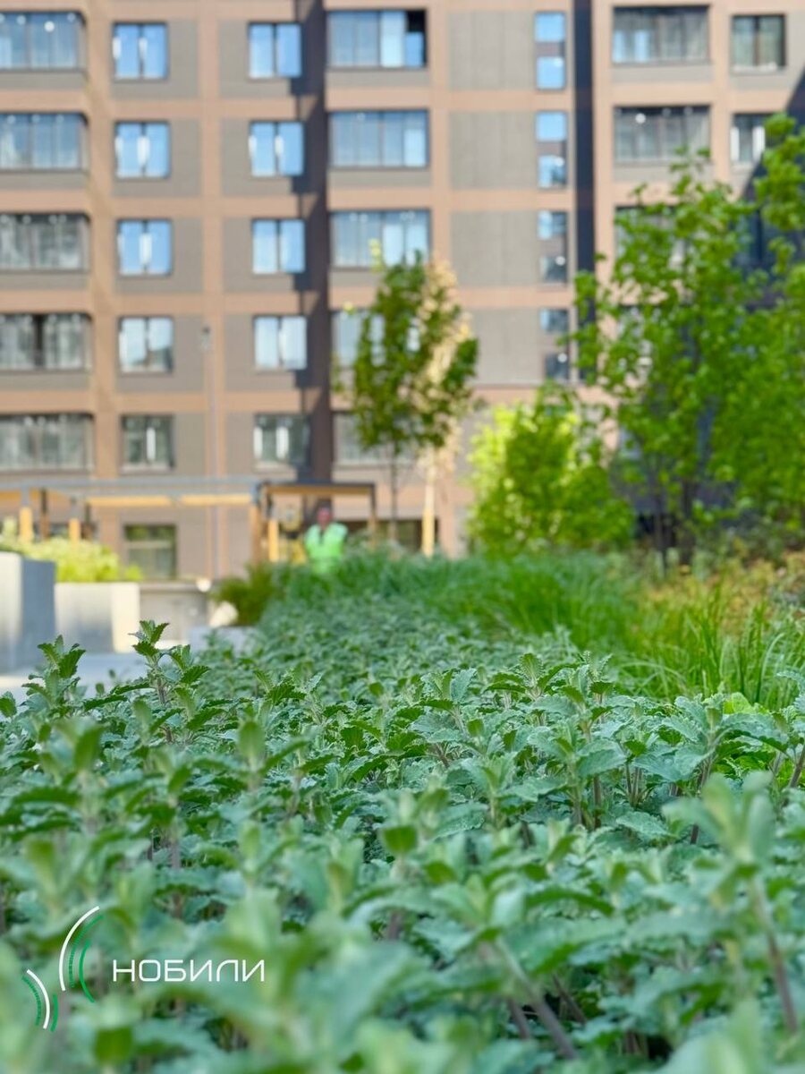 Фото из архива компании "Нобили"