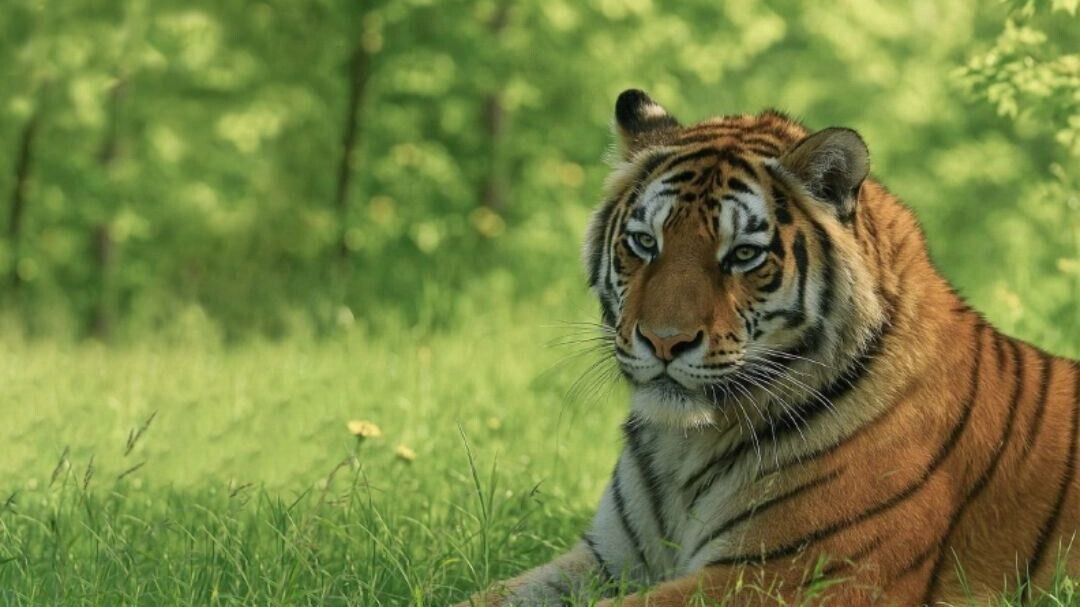     Источник: t.me/Концерн «Калашников»