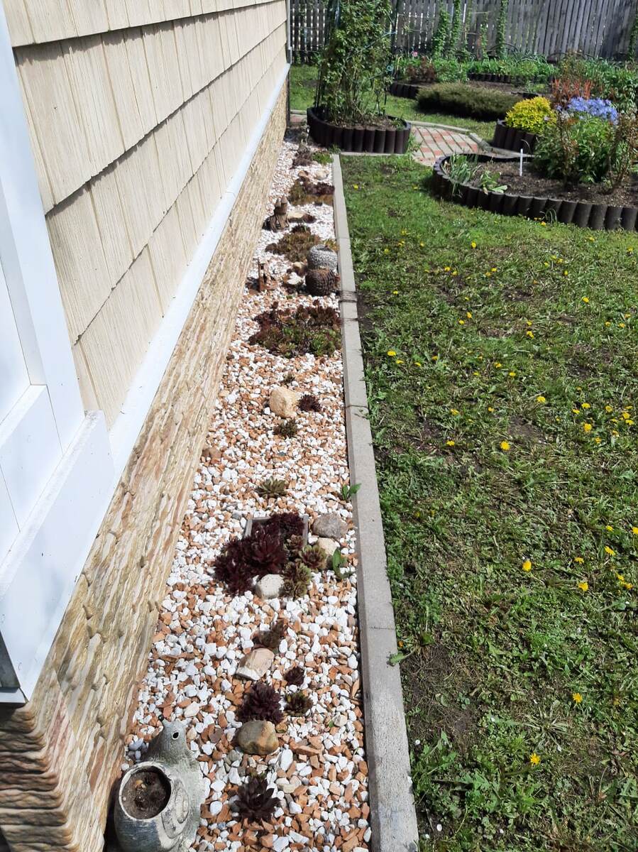 Каменная роза 