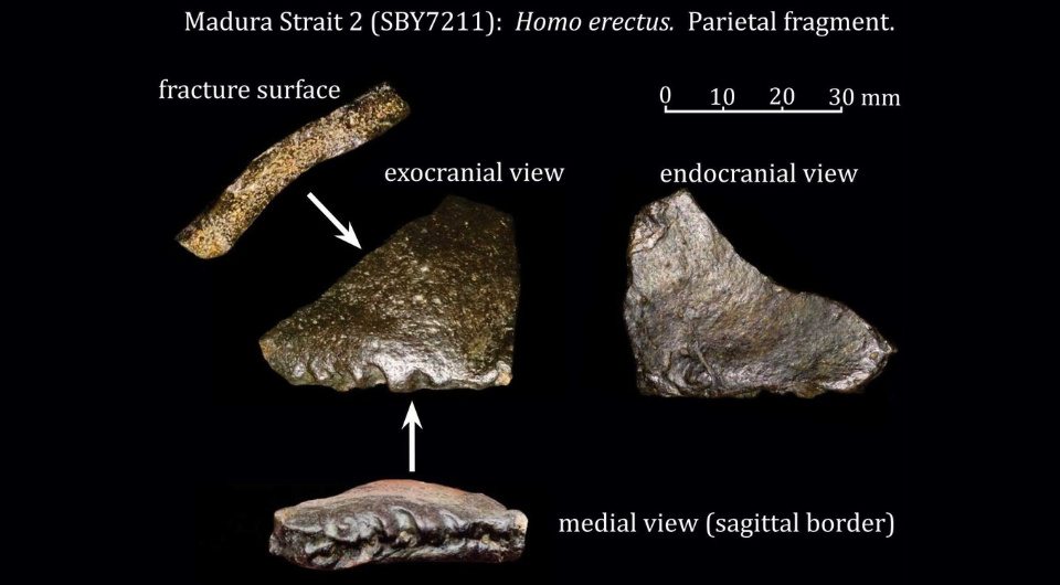   Harold Berghuis et al. / Quaternary Environments and Humans, 2025