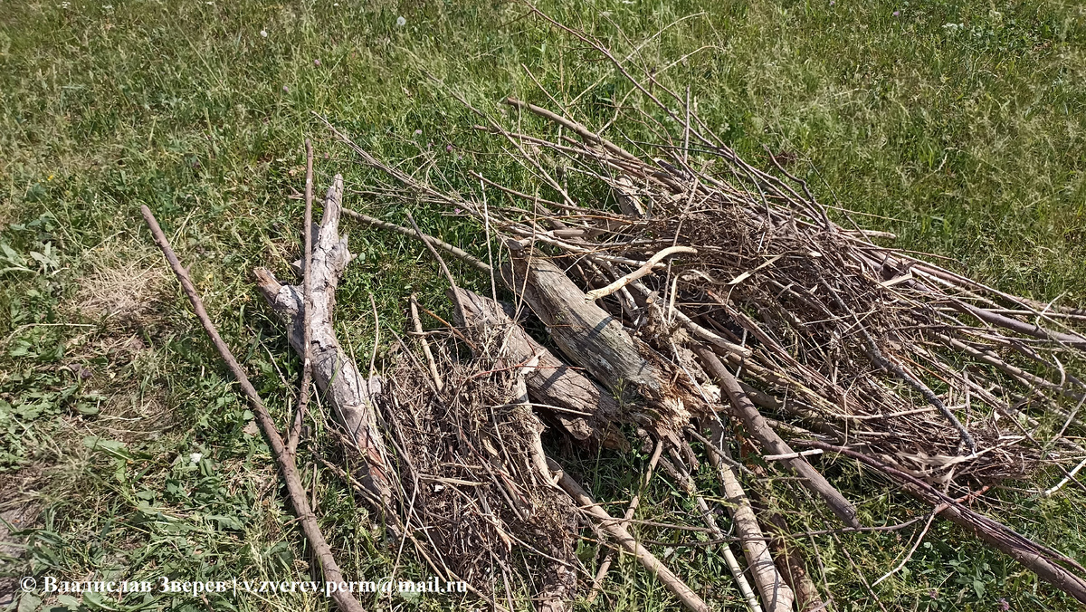 Фото 1. Собранные дрова вдоль берега реки.