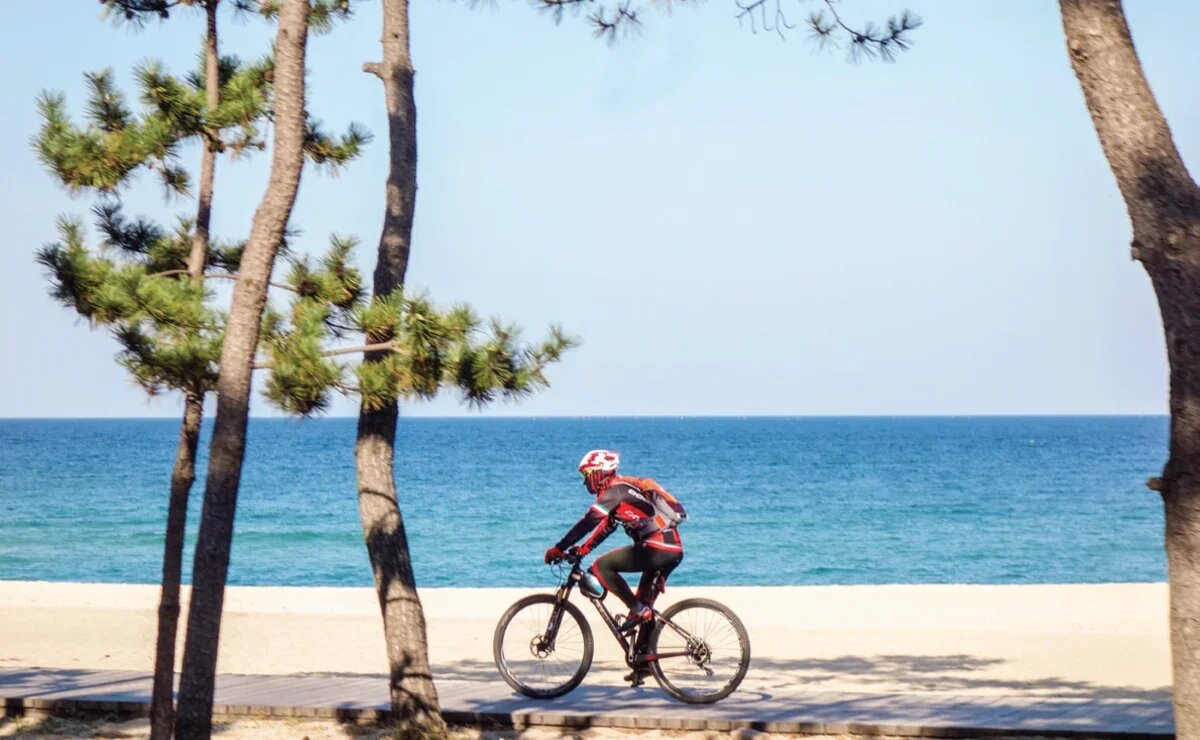    Южная Корея и спорт. Как и где отдыхать в стране активным туристам