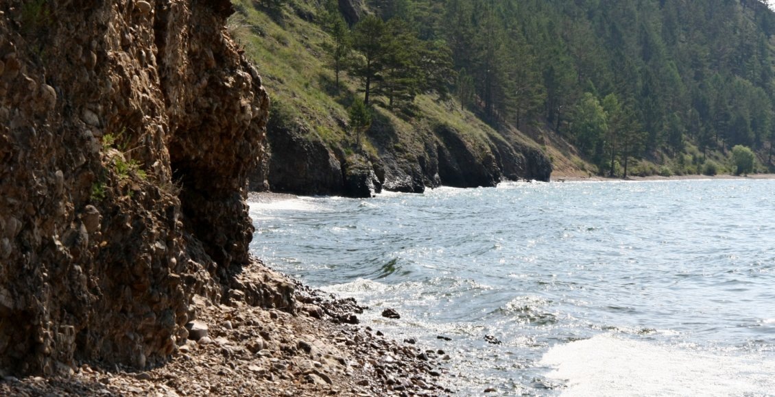    Фото: НИА "Экология"