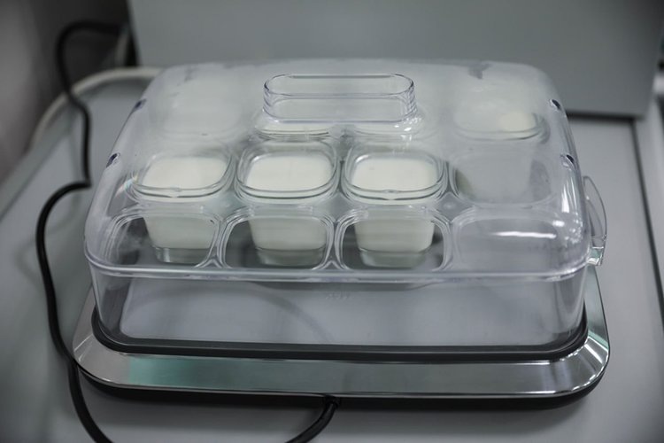    Ученые СКФУ создают инновационный кисломолочный продукт с усиленным составом