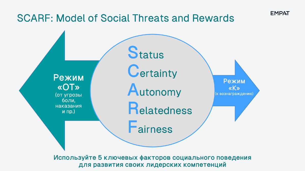 Рис. 2 SCARF как модель социальных угроз и вознаграждений