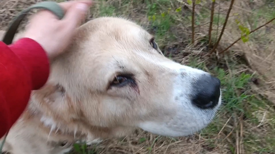 Все любят ласку, заботу и любовь