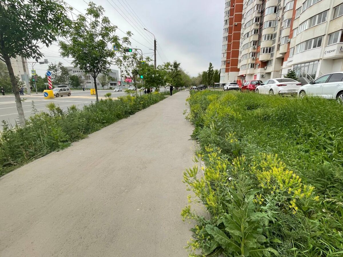    «Если в ближайшее время ситуация не изменится, буду принимать кадровые решения»: Евгений Солнцев поручил улучшить ситуацию с покосом травы в Оренбурге